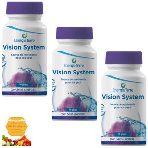 Vision System 3mois
