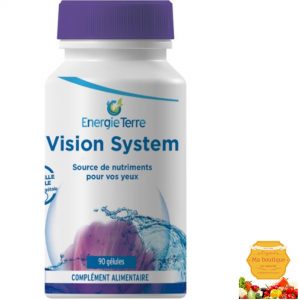 Vision System 1 Mois
