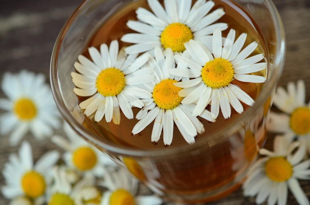 Tasse de tisane à la camomille